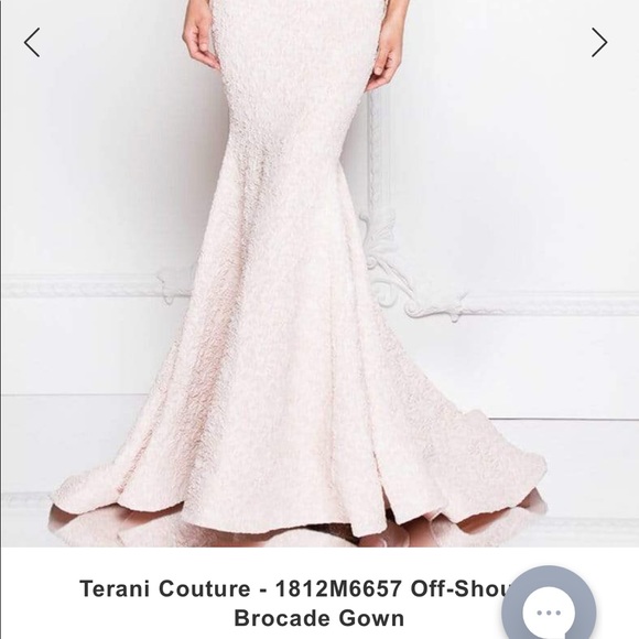 Terani Couture | Dresses | Terani 